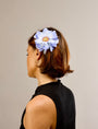 Daisy — Blue Slide Clip