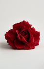 The Magdalene Rose
