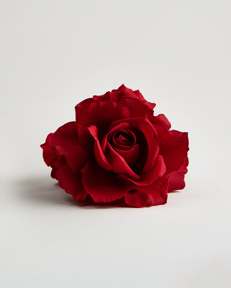 The Magdalene Rose