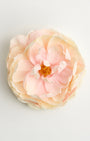 Aurora Peony — flower detail