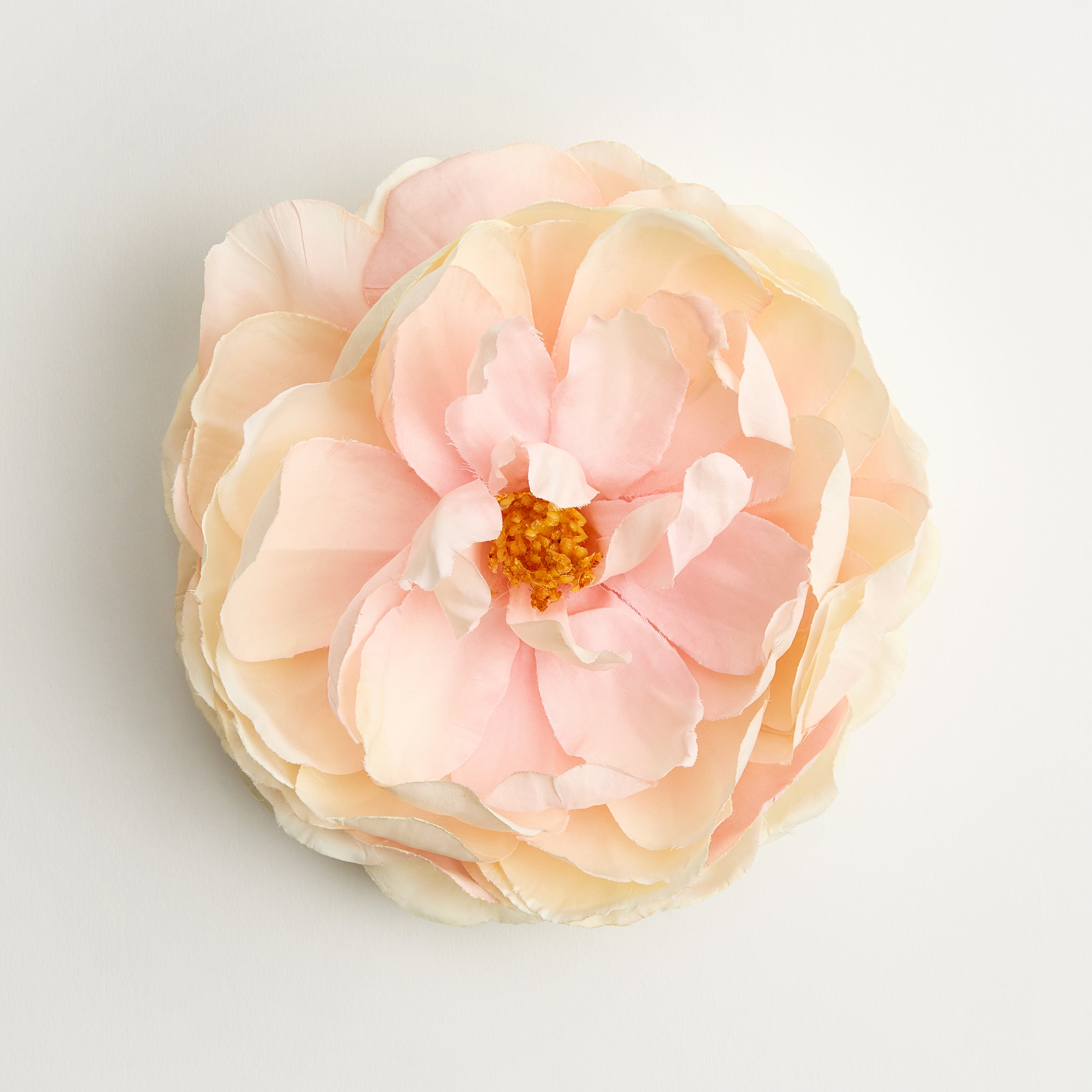Aurora Peony — flower detail