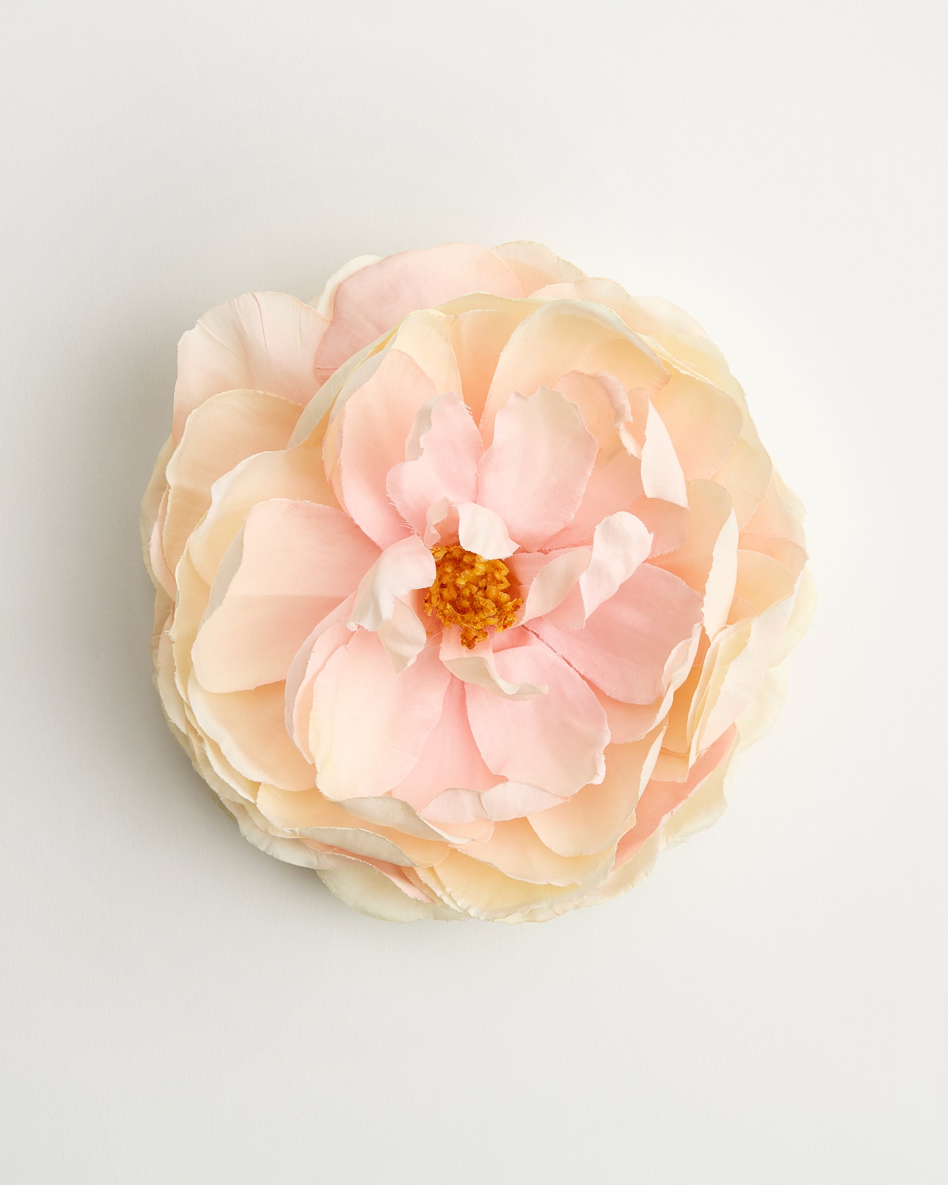 Aurora Peony — flower detail