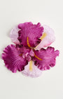 Iris — flower detail