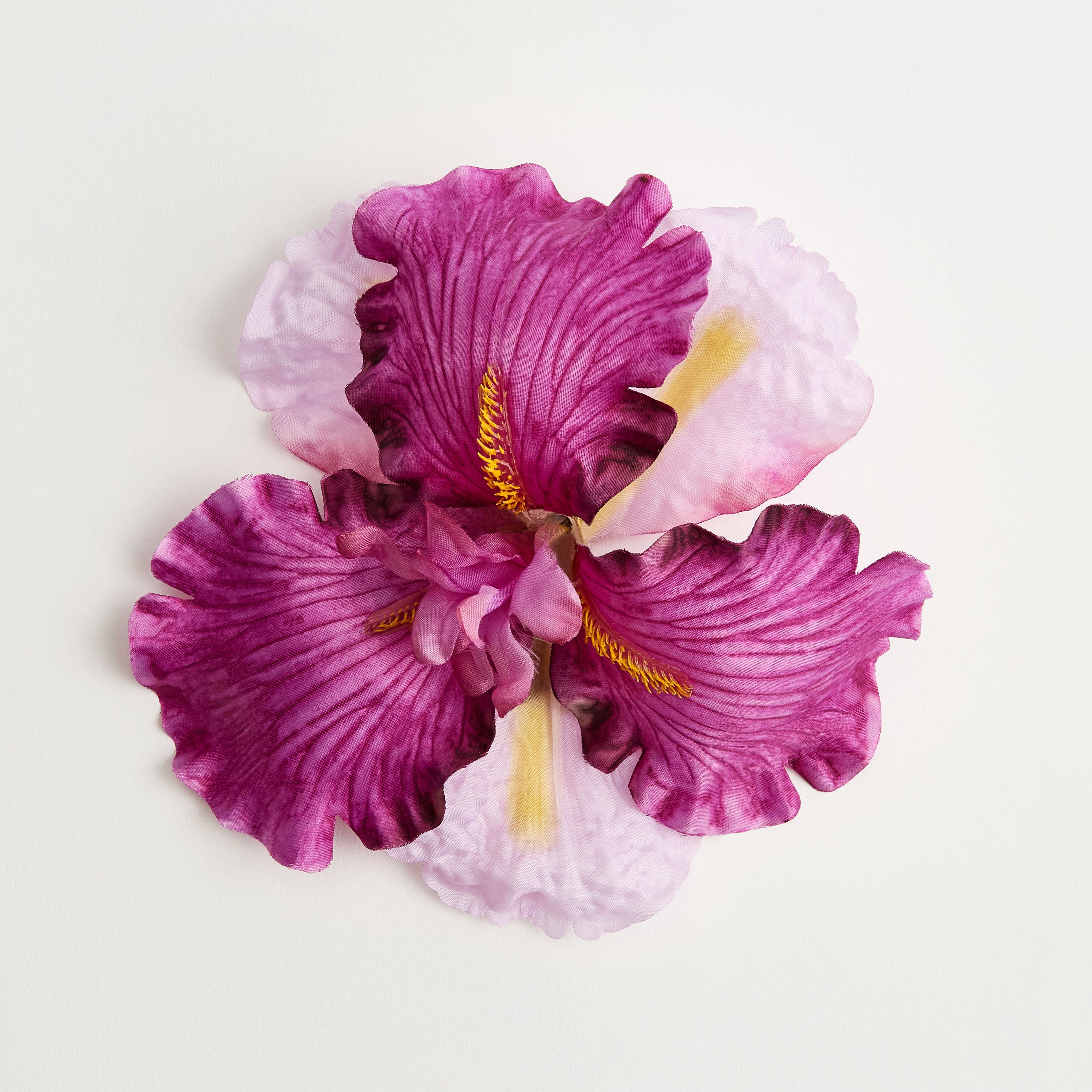 Iris — flower detail