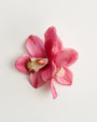 Orchid — flower detail