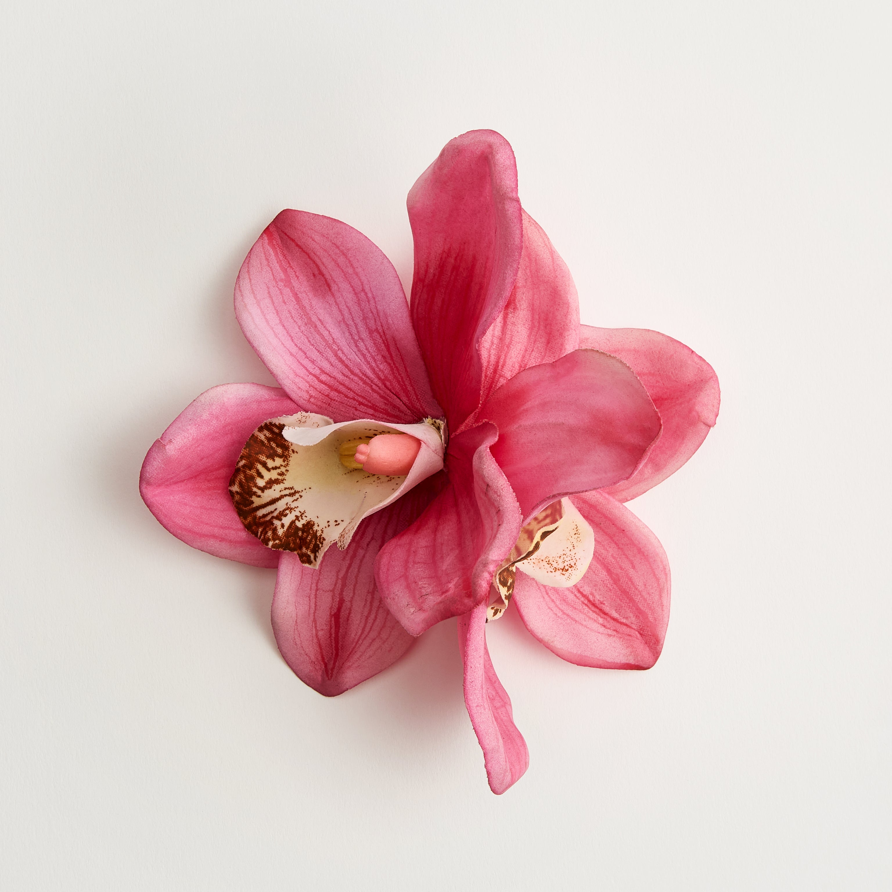 Orchid — flower detail