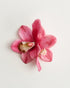 Orchid — flower detail