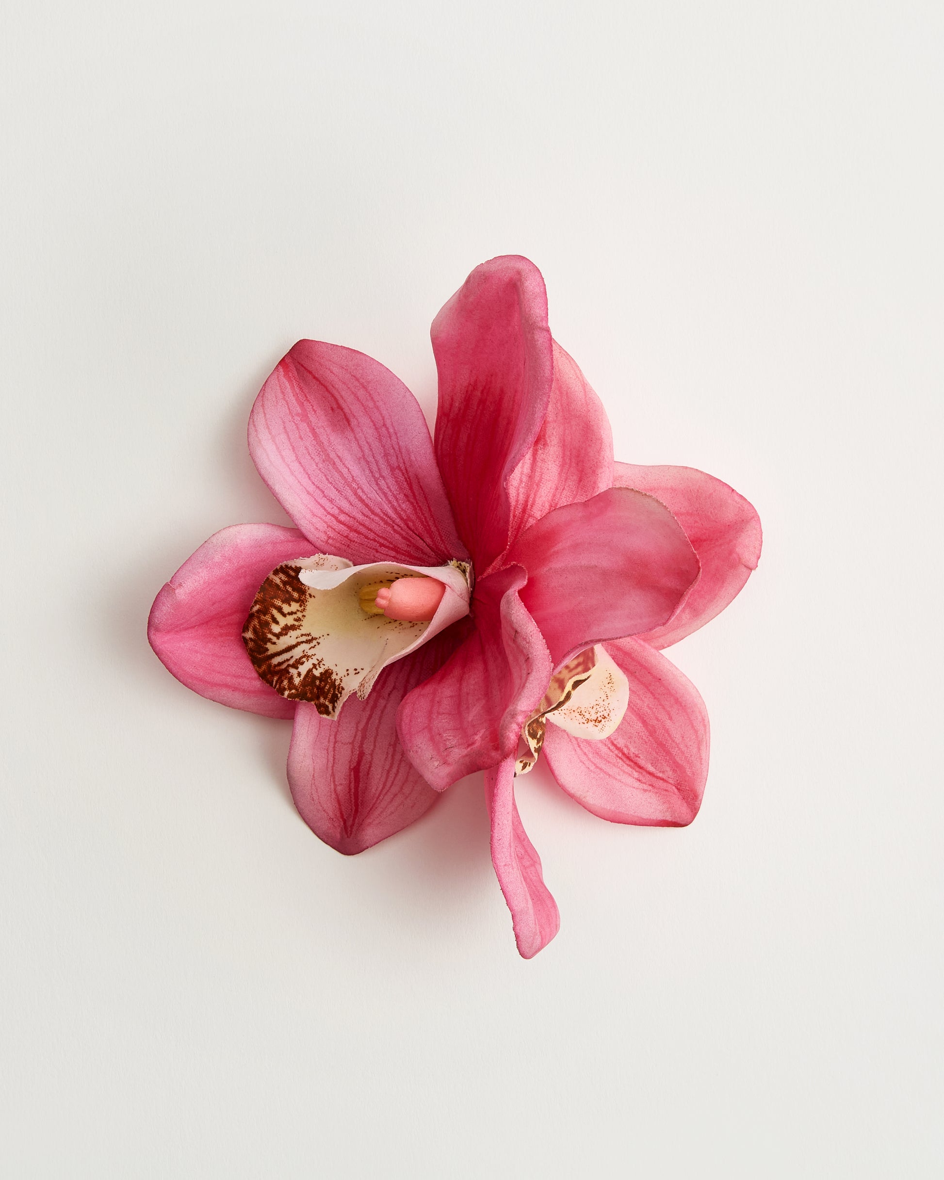 Orchid — flower detail