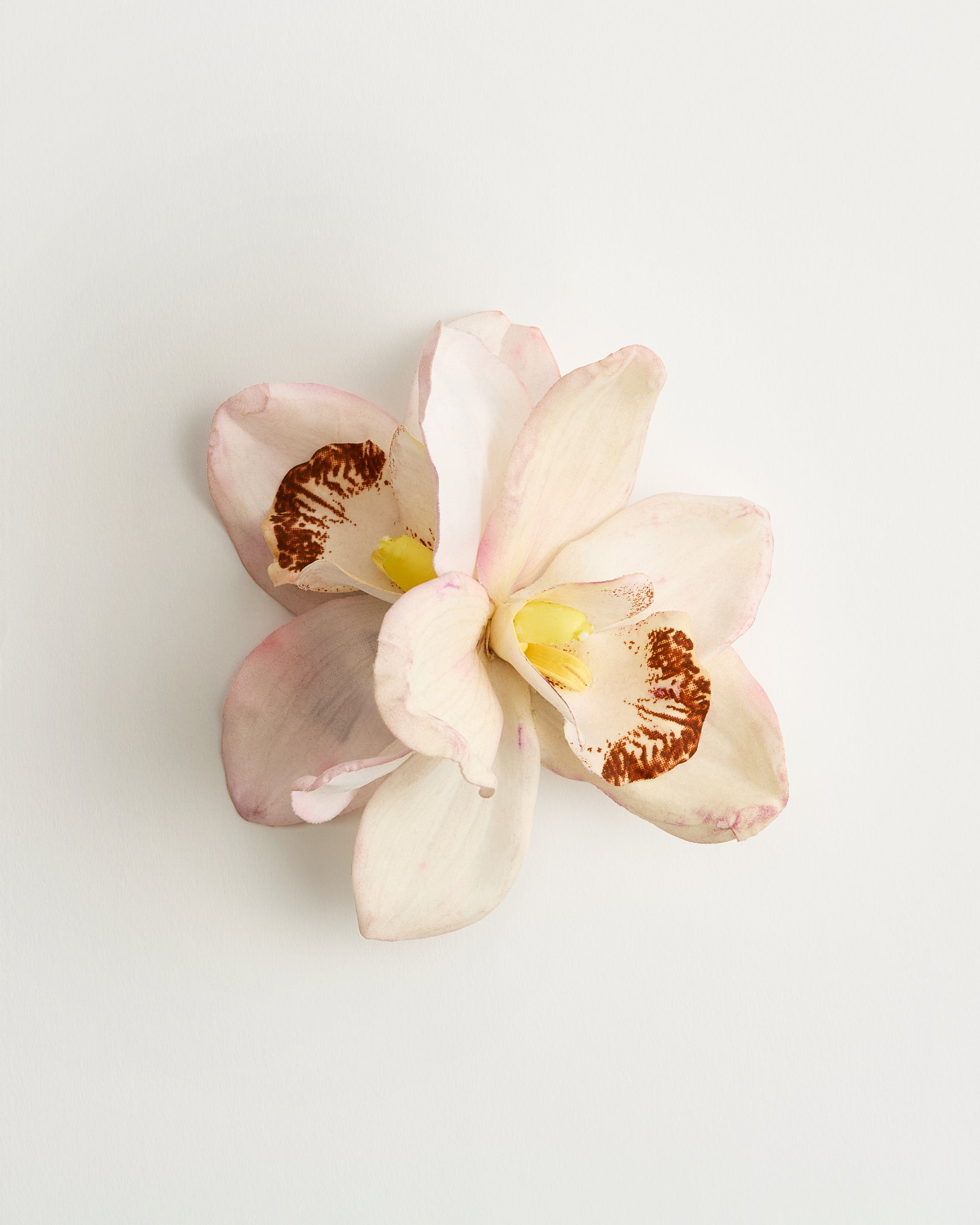 The Empress Orchid
