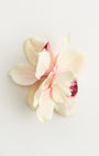 The Empress Orchid