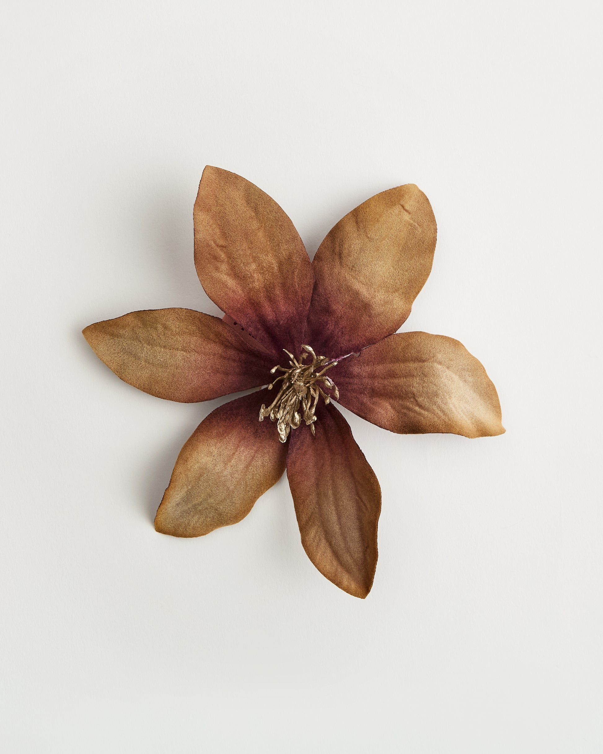 The Luna Clematis