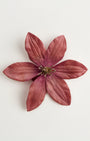 Luna Clematis — flower detail