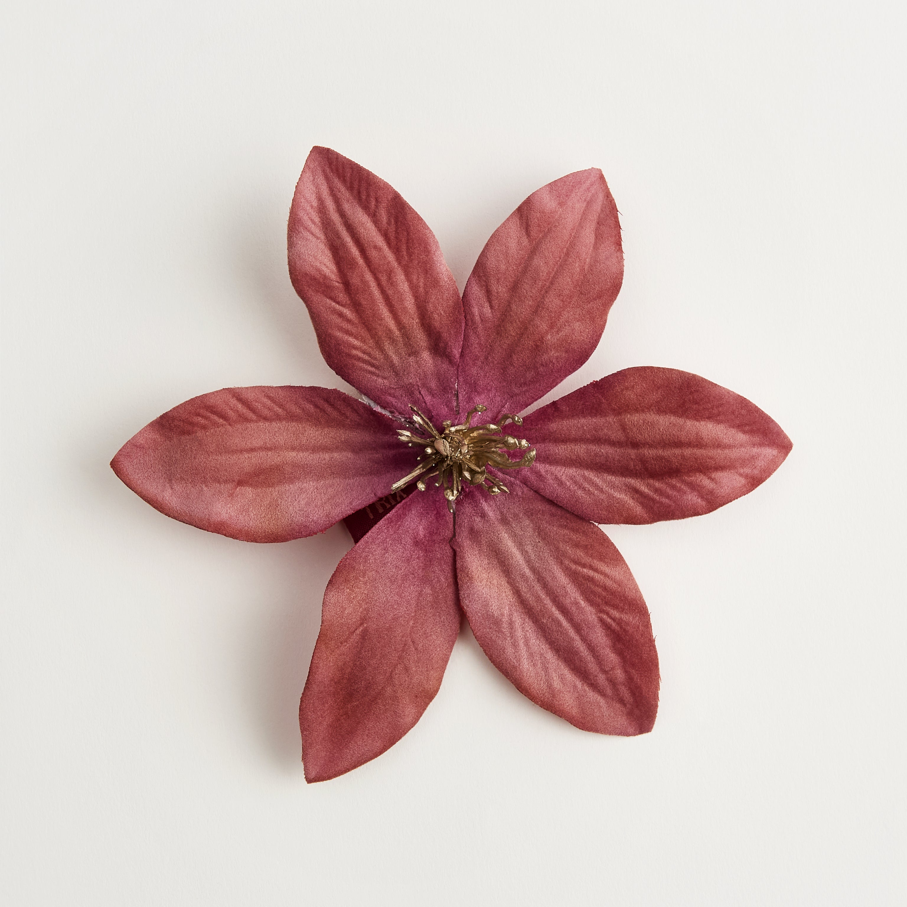 Luna Clematis — flower detail