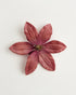 Luna Clematis — flower detail