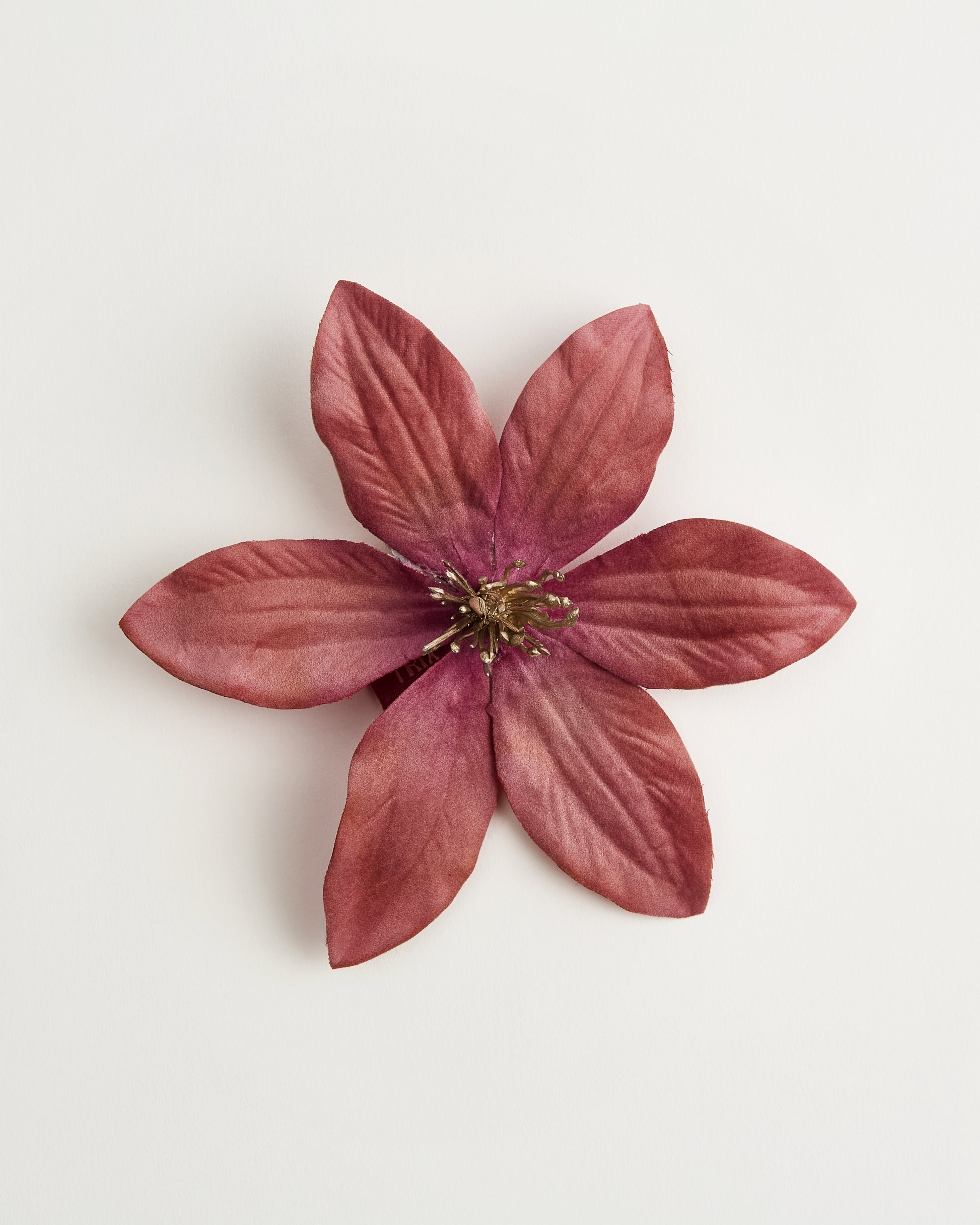 Luna Clematis — flower detail