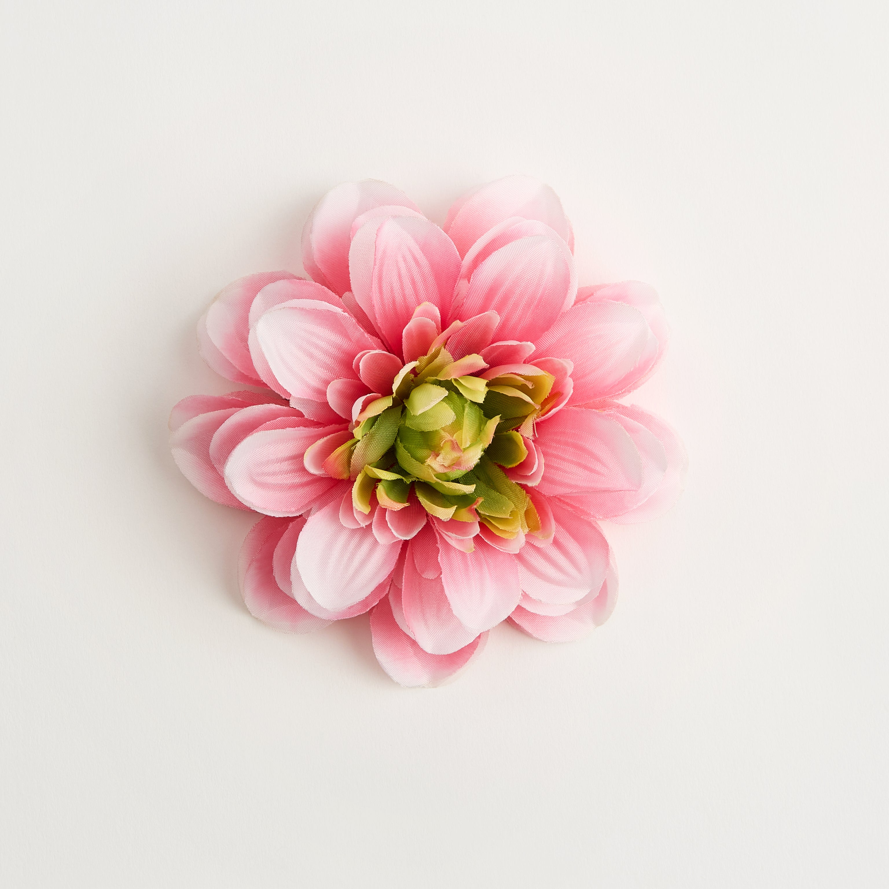 Psyche Dahlia — flower detail