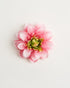 Psyche Dahlia — flower detail