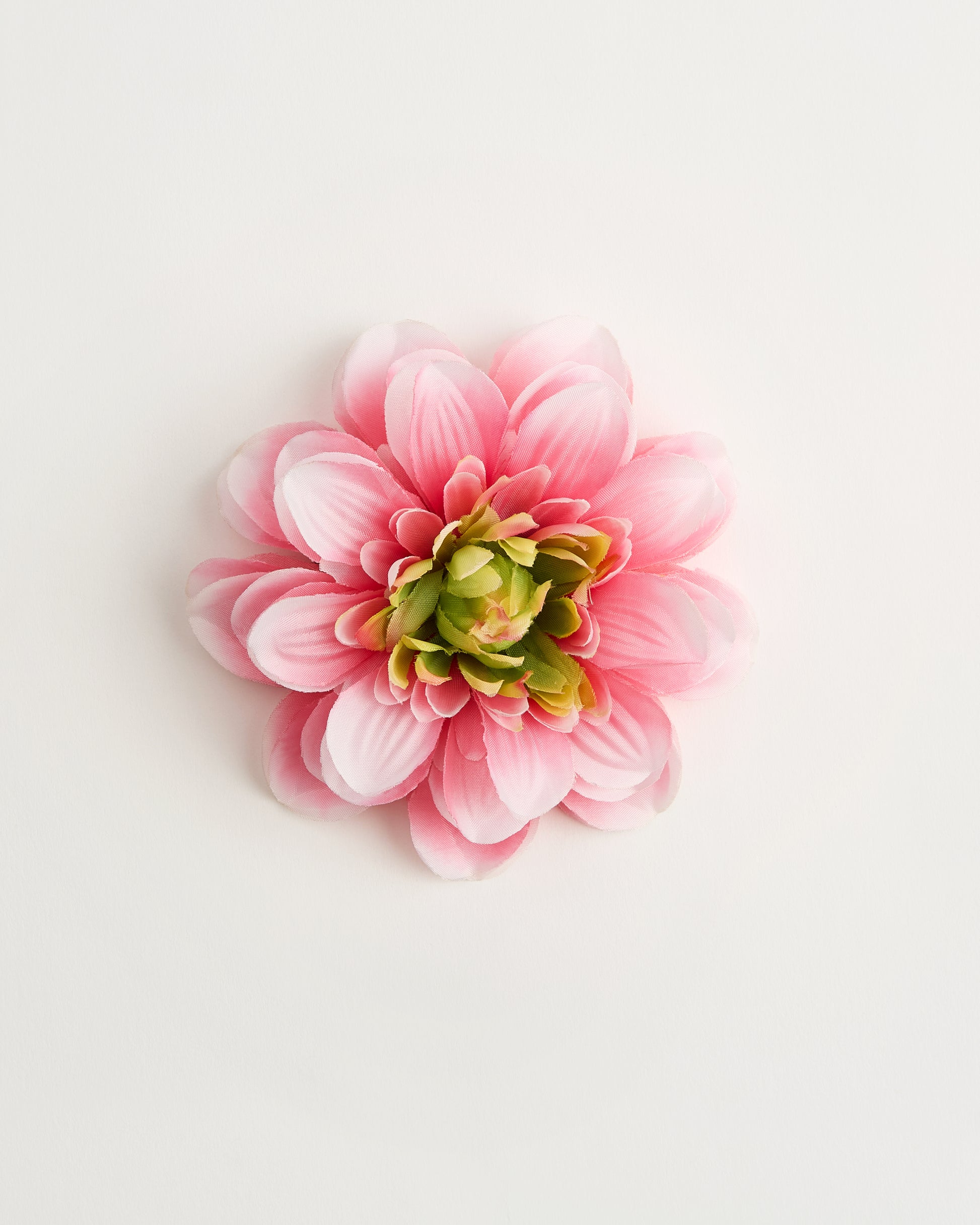 Psyche Dahlia — flower detail