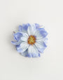 Daisy — flower detail