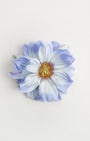 Daisy — flower detail
