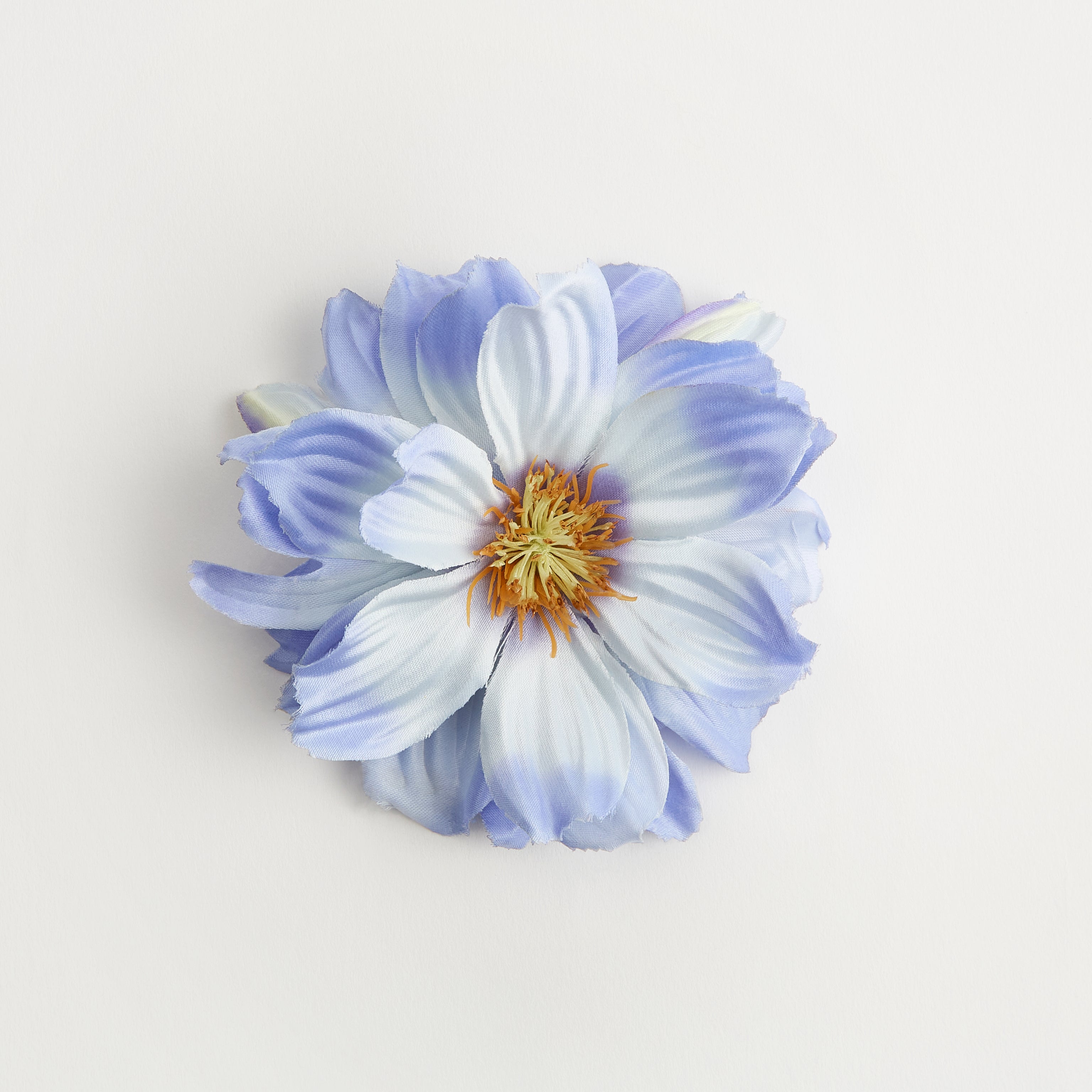 Daisy — flower detail