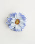 Daisy — flower detail