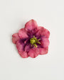 Primrose — flower detail