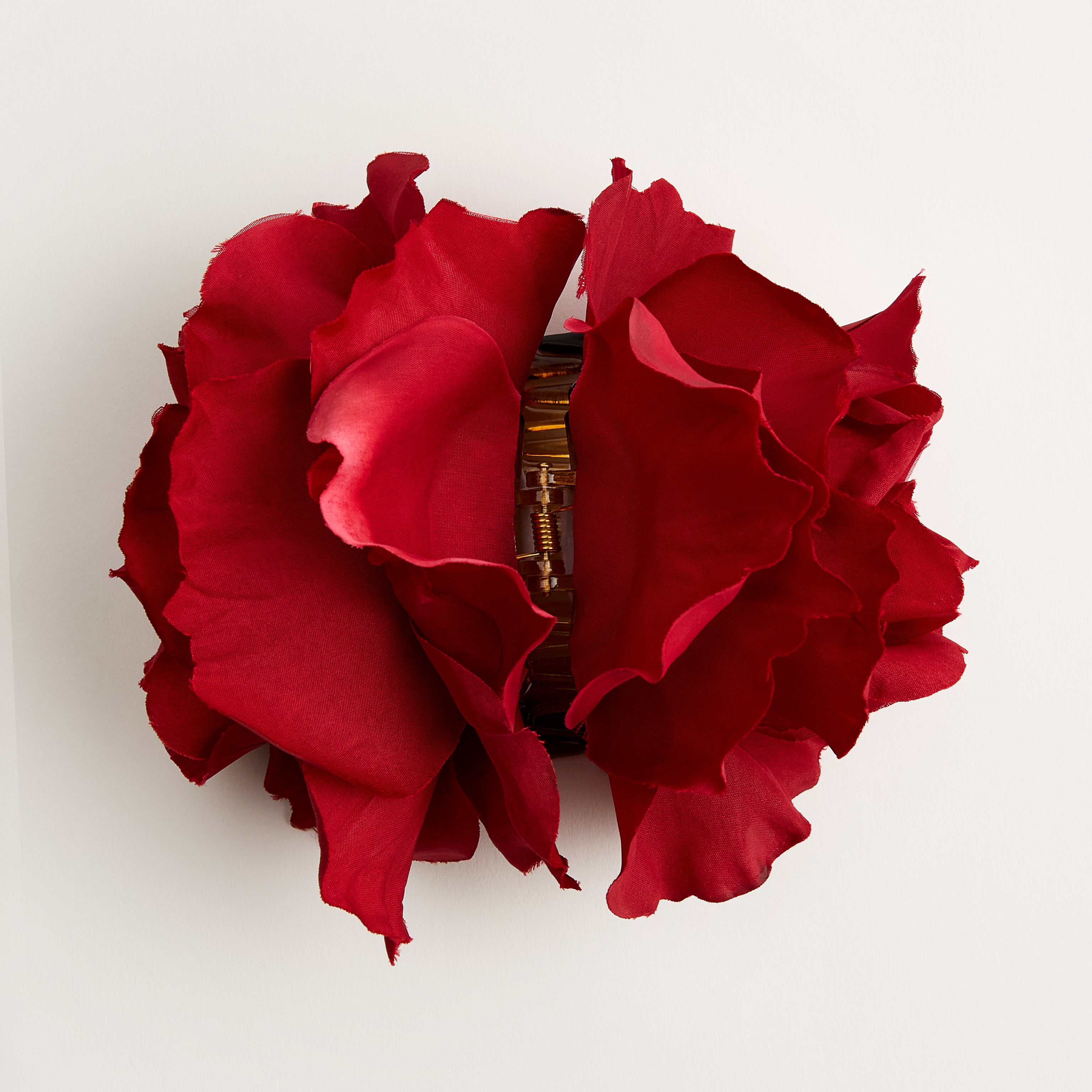 English Garden Rose — flower detail