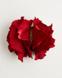 English Garden Rose — Red Claw Clip