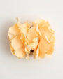 English Garden Rose — Peach Claw Clip