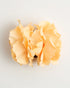 English Garden Rose — Peach Claw Clip