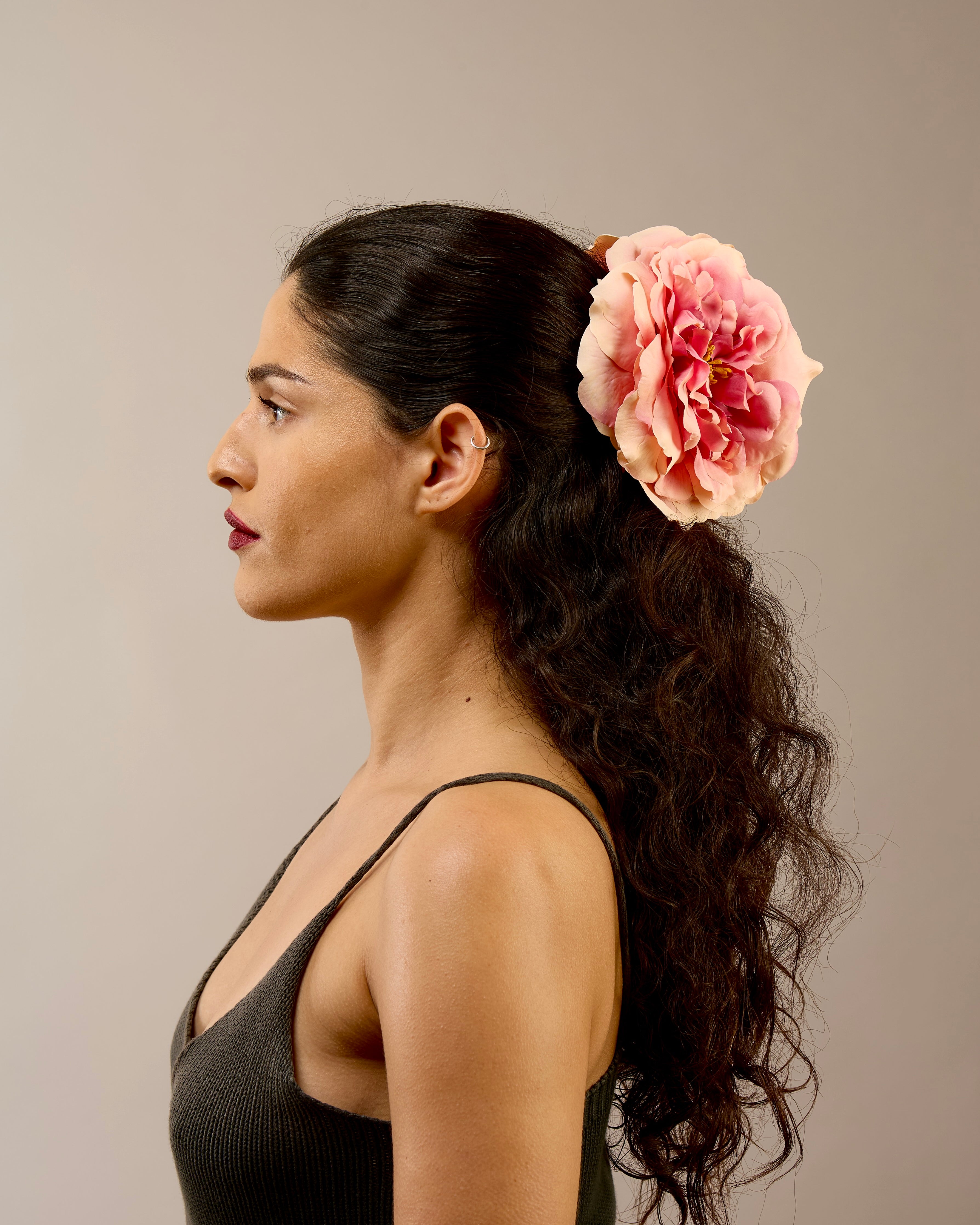 The Primavera Rose