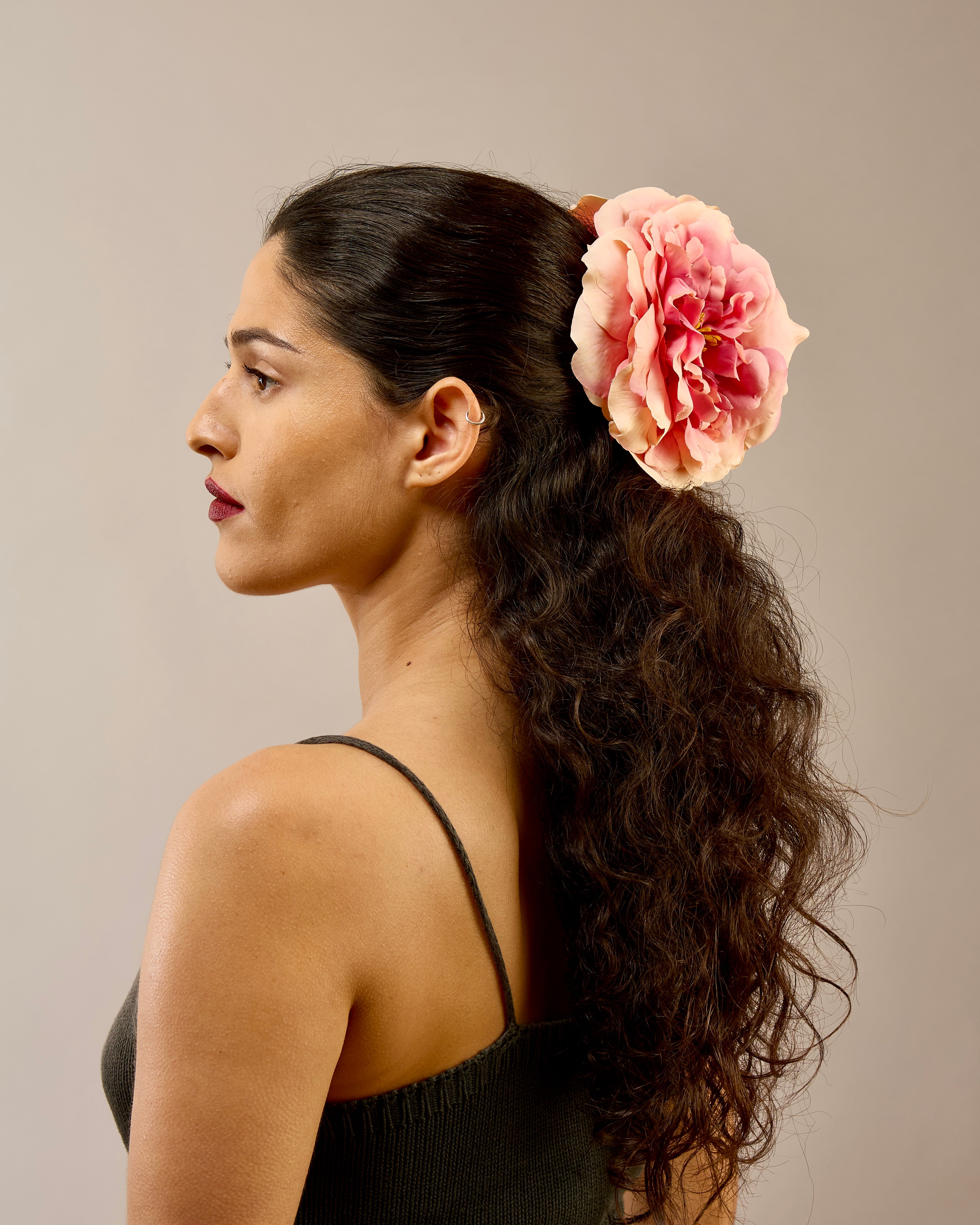 The Primavera Rose