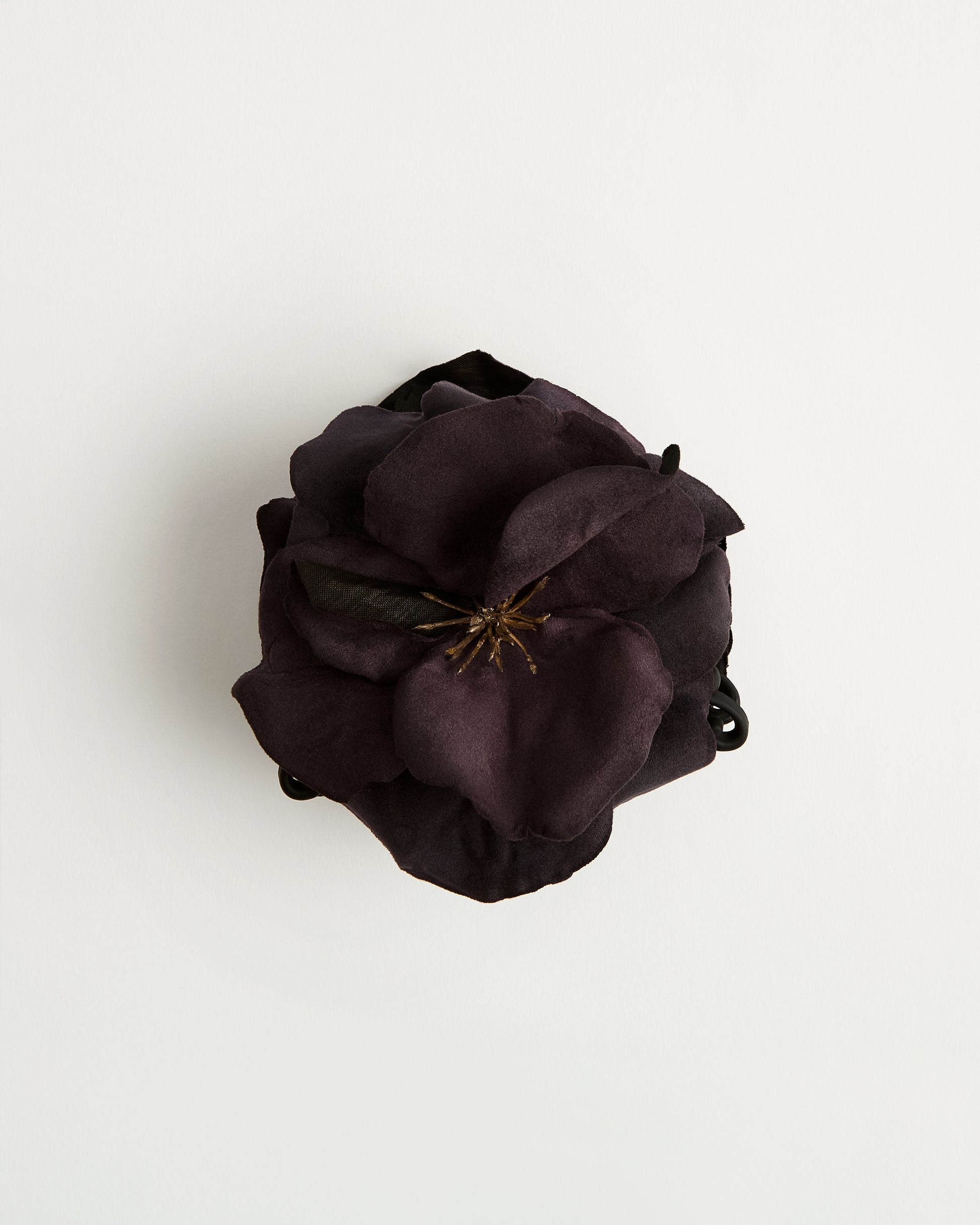 The Wild Rose
