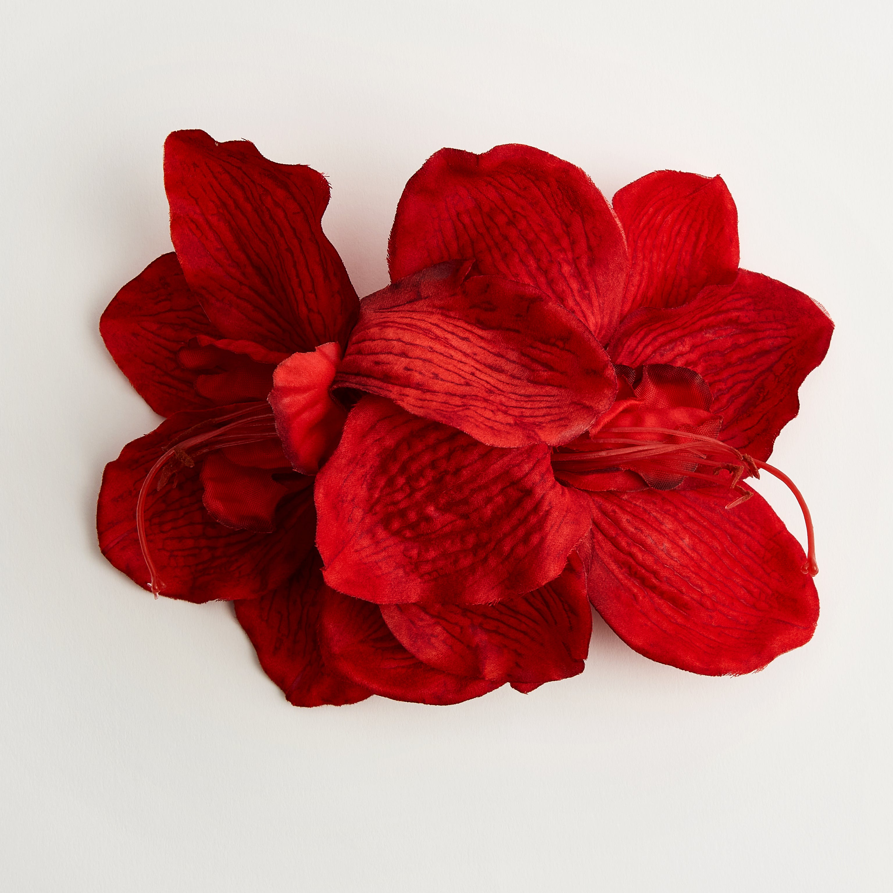 Scarlett Hibiscus — flower detail