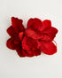 Scarlett Hibiscus — flower detail
