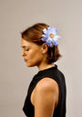 Daisy — Blue Slide Clip