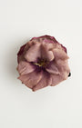 Dusty Rose — flower detail
