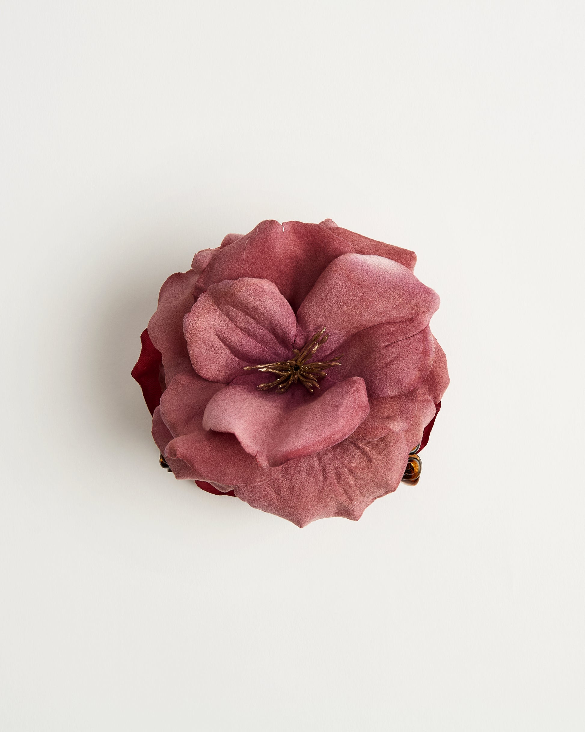 The Wild Rose