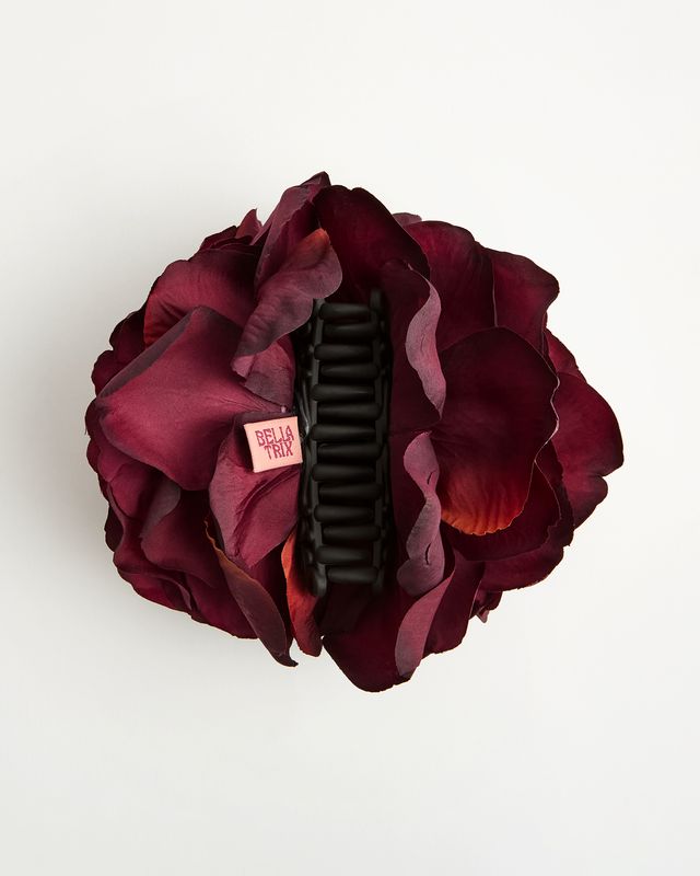 The Bellatrix Rose