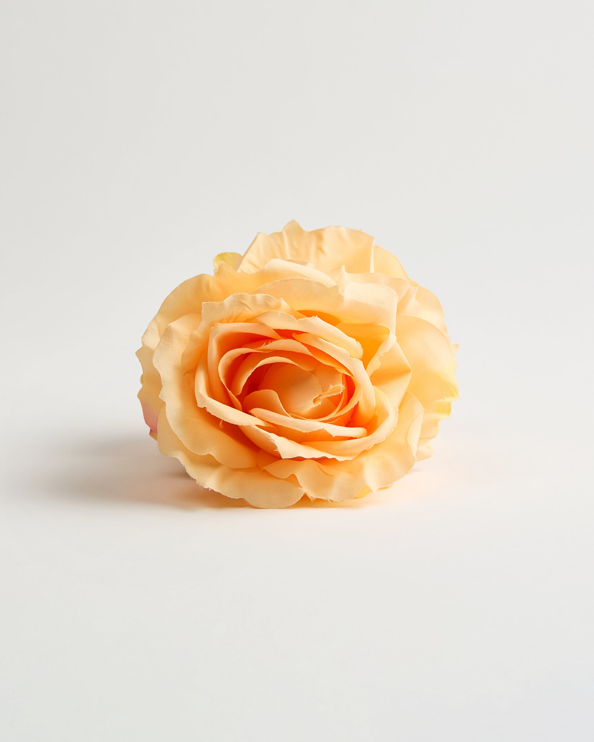 The English Rose