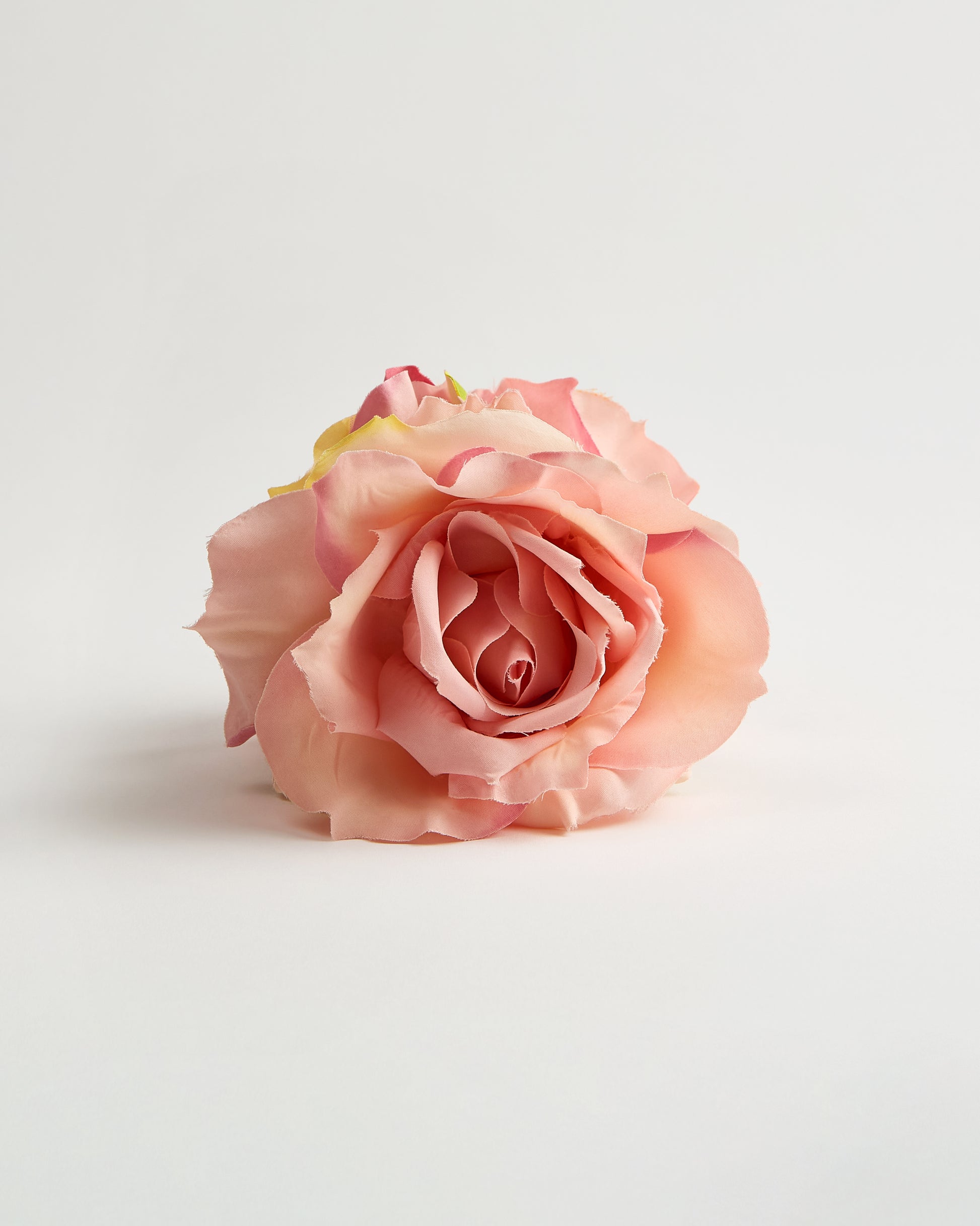 The English Rose