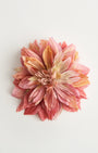 Dahlia — flower detail