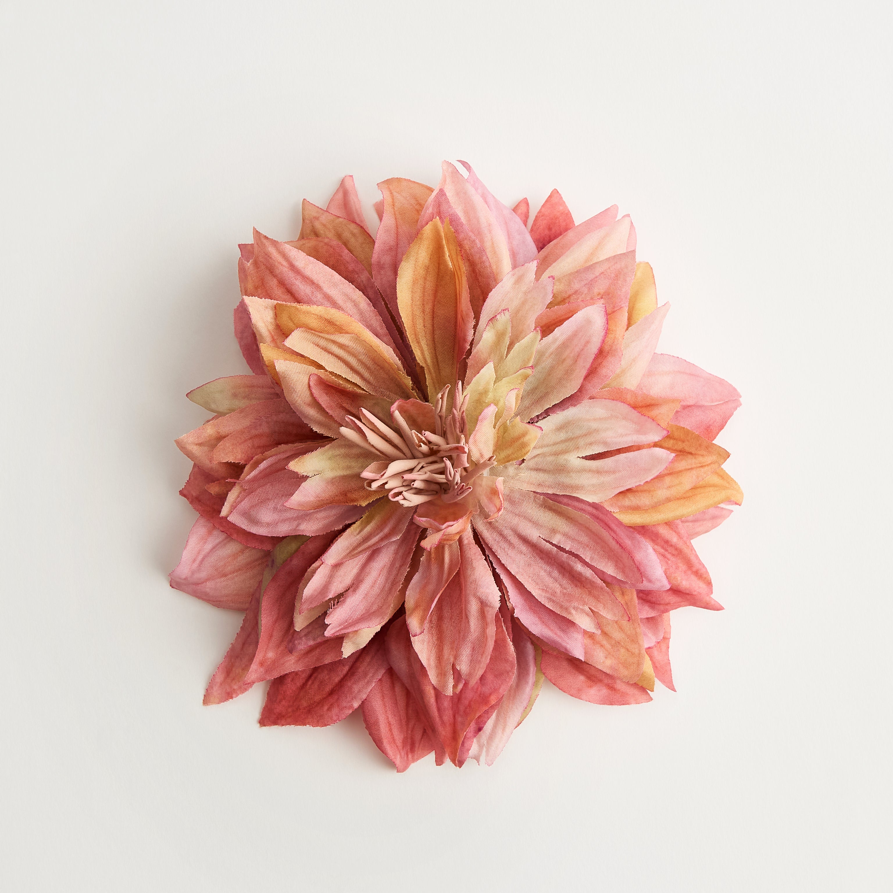 Dahlia — flower detail