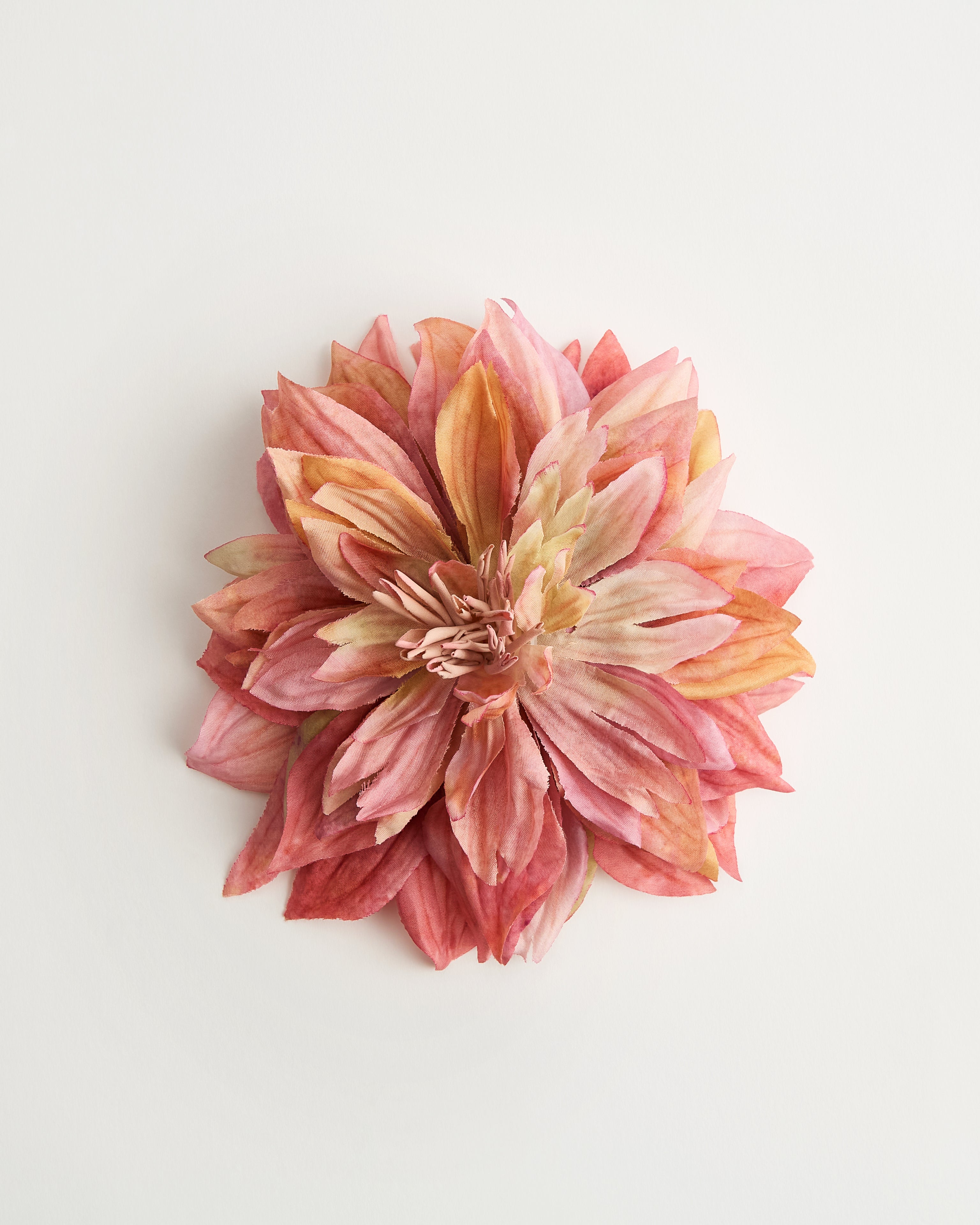 Dahlia — flower detail