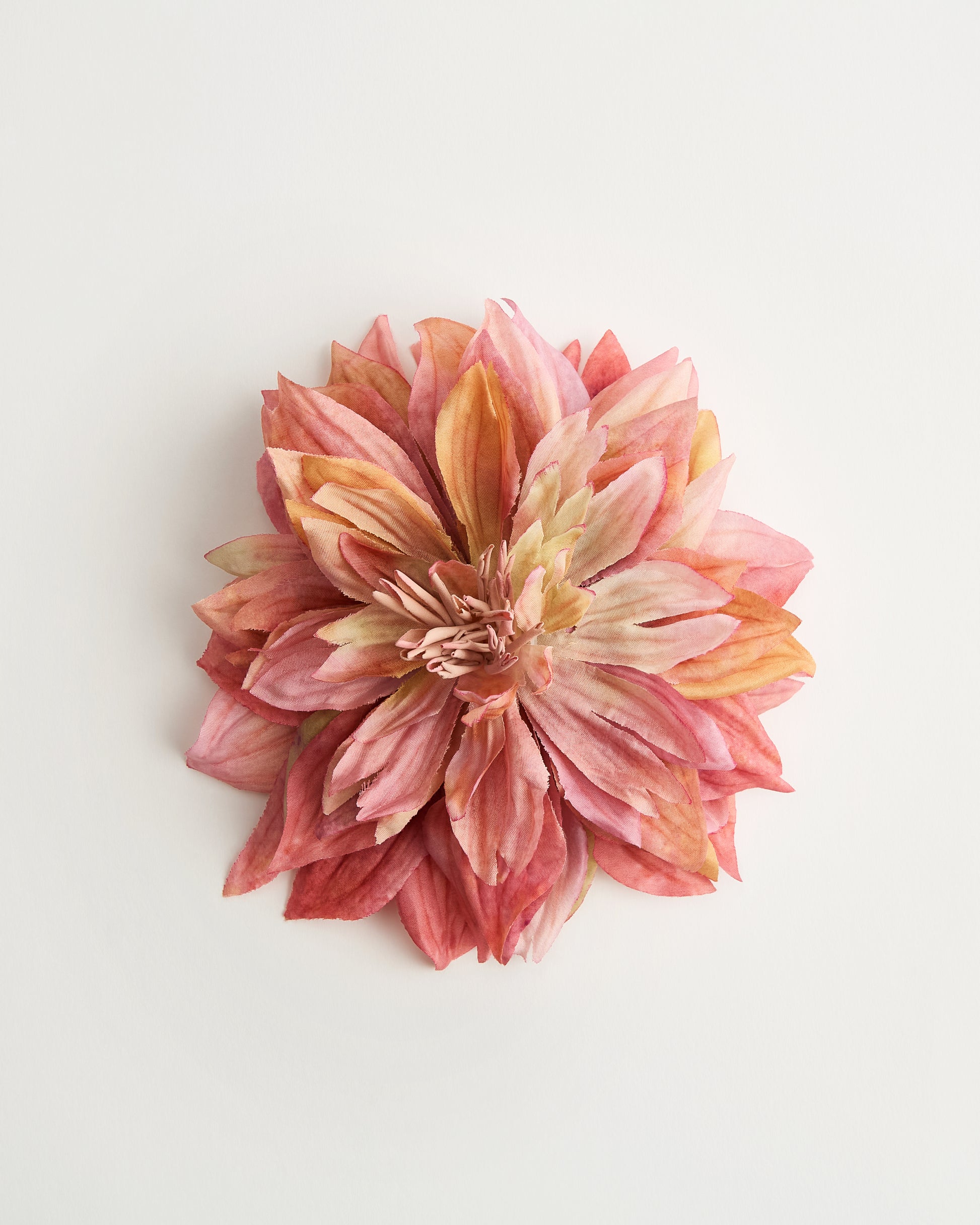 Dahlia — flower detail