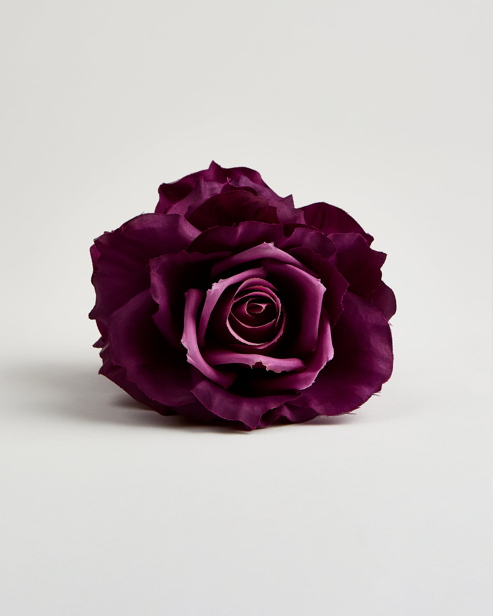 The English Rose