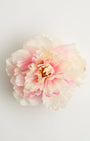 Empress Peony (S + L) — flower detail