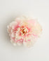 Empress Peony (S + L) — flower detail