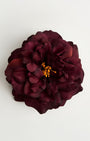 The Bellatrix Rose